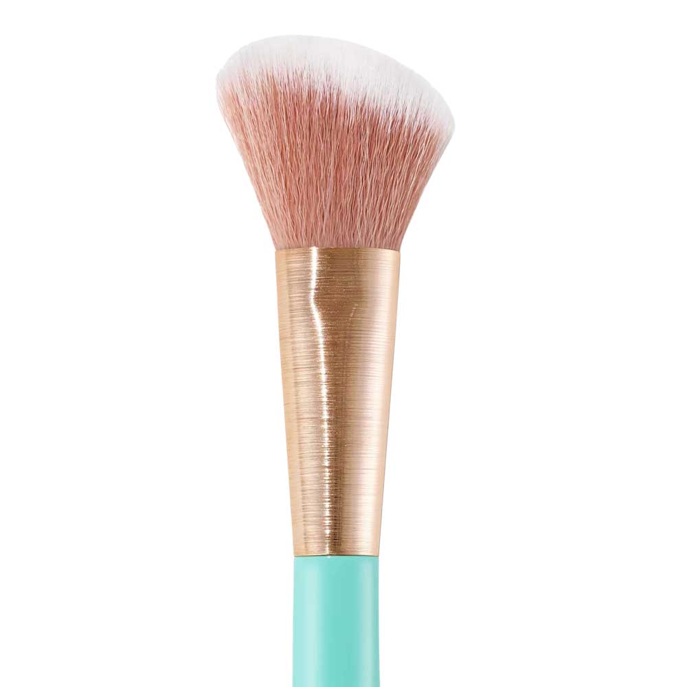 Angled Blush Brush