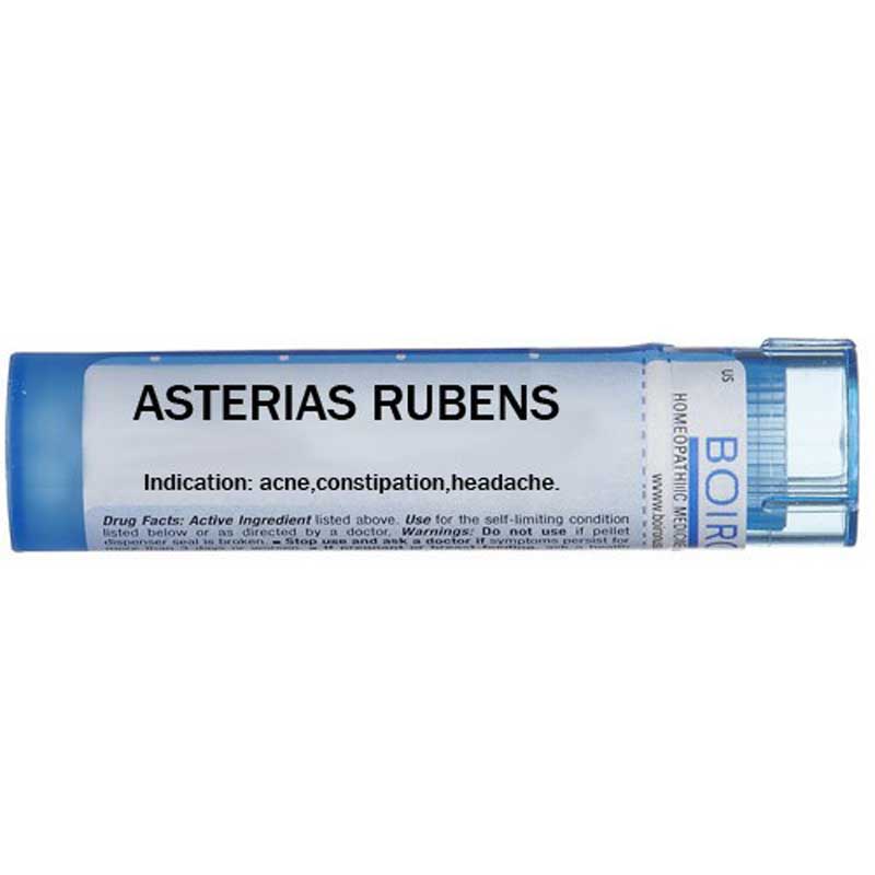 Asterias rubens - Multidose Tube