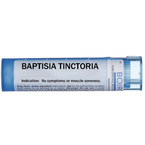 Baptisia tinctoria - Multidose Tube