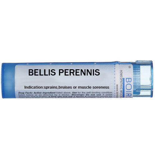 Bellis perennis  - Multidose Tube