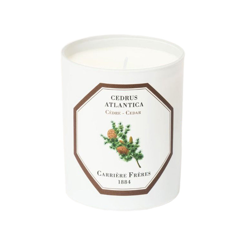 Cedrus Atlantica - Cedar Candle