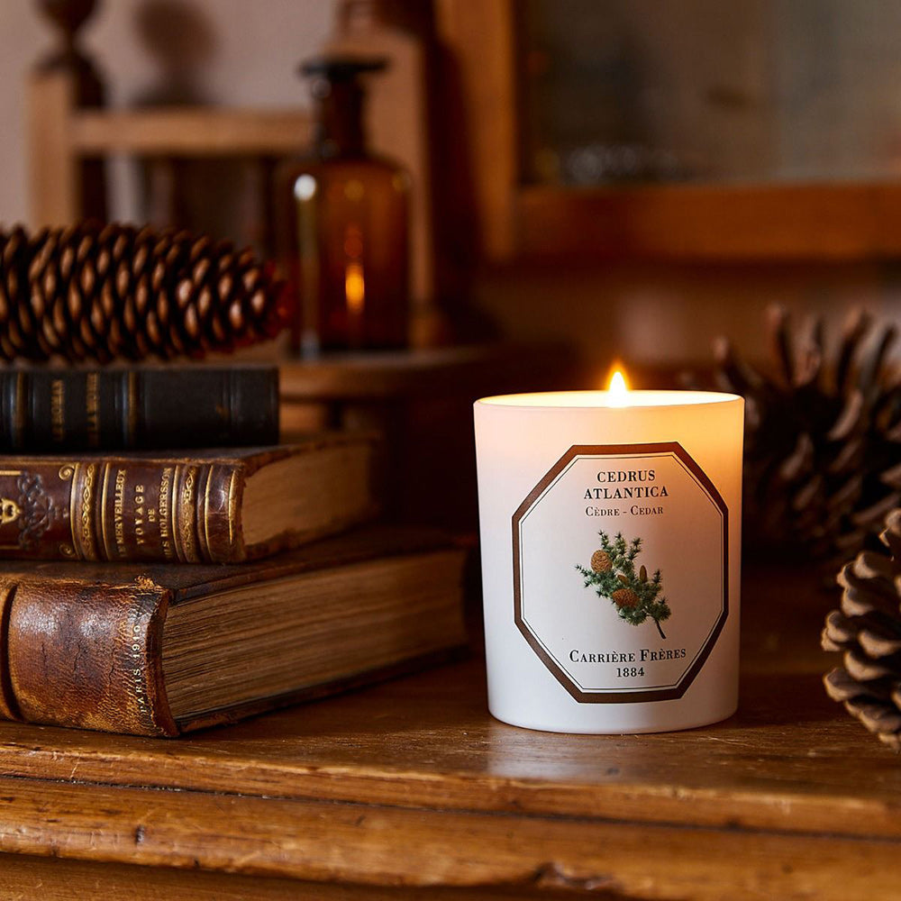 Cedrus Atlantica - Cedar Candle