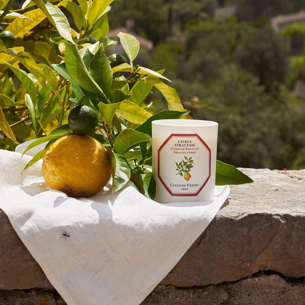 Citrus Syracusis - Siracusa Lemon Candle