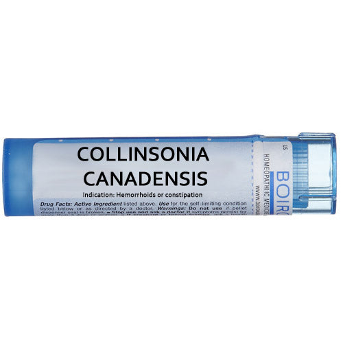 Collinsonia canadensis - Multidose Tube