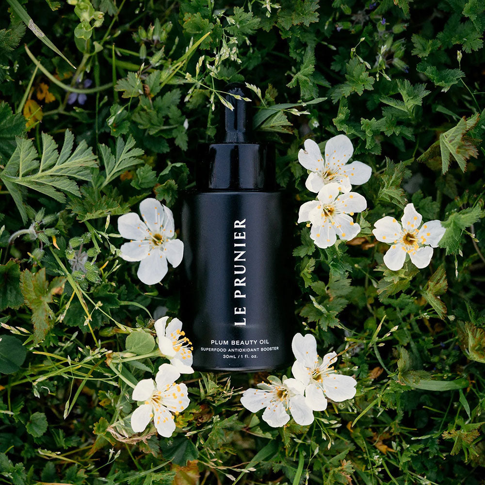 Plum Beauty Oil – C.O. Bigelow