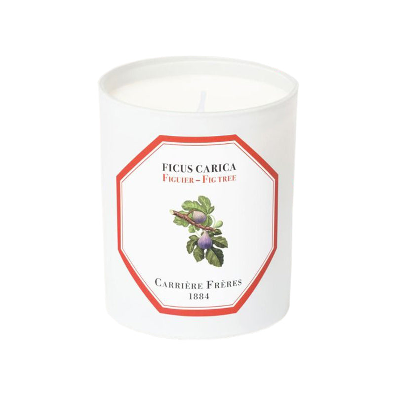 Ficus Carica - Fig Tree Candle
