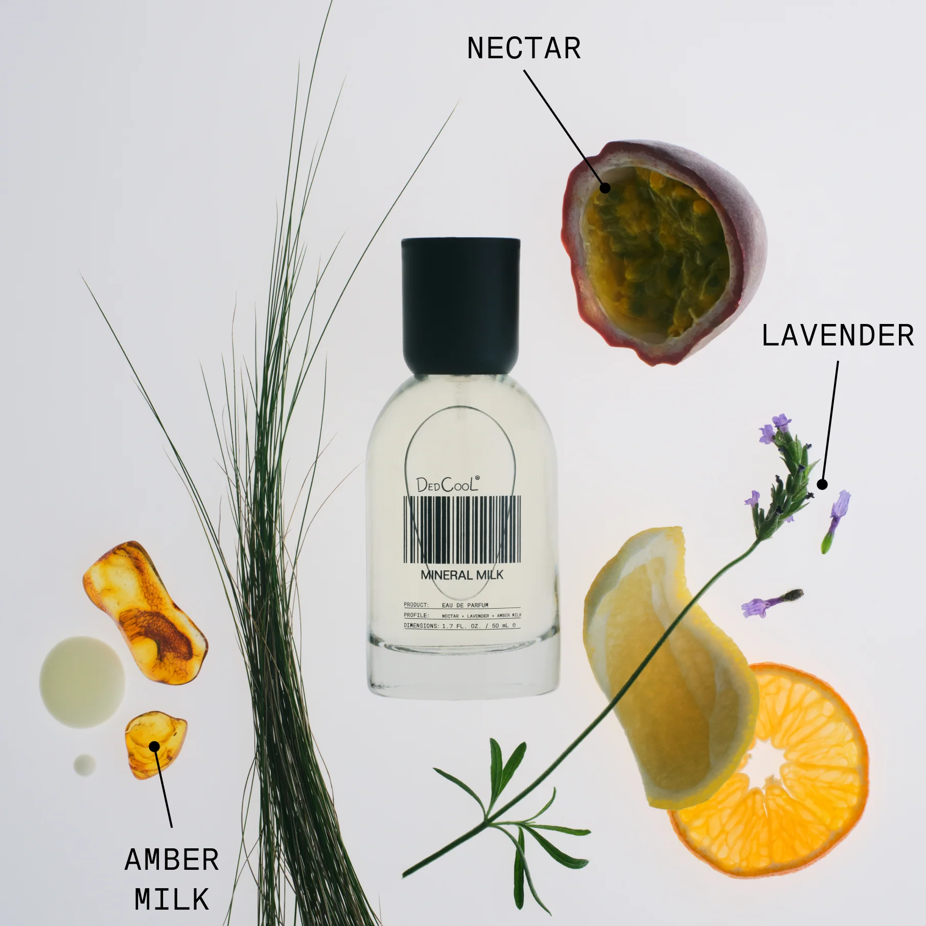 Mineral Milk - Eau de Parfum