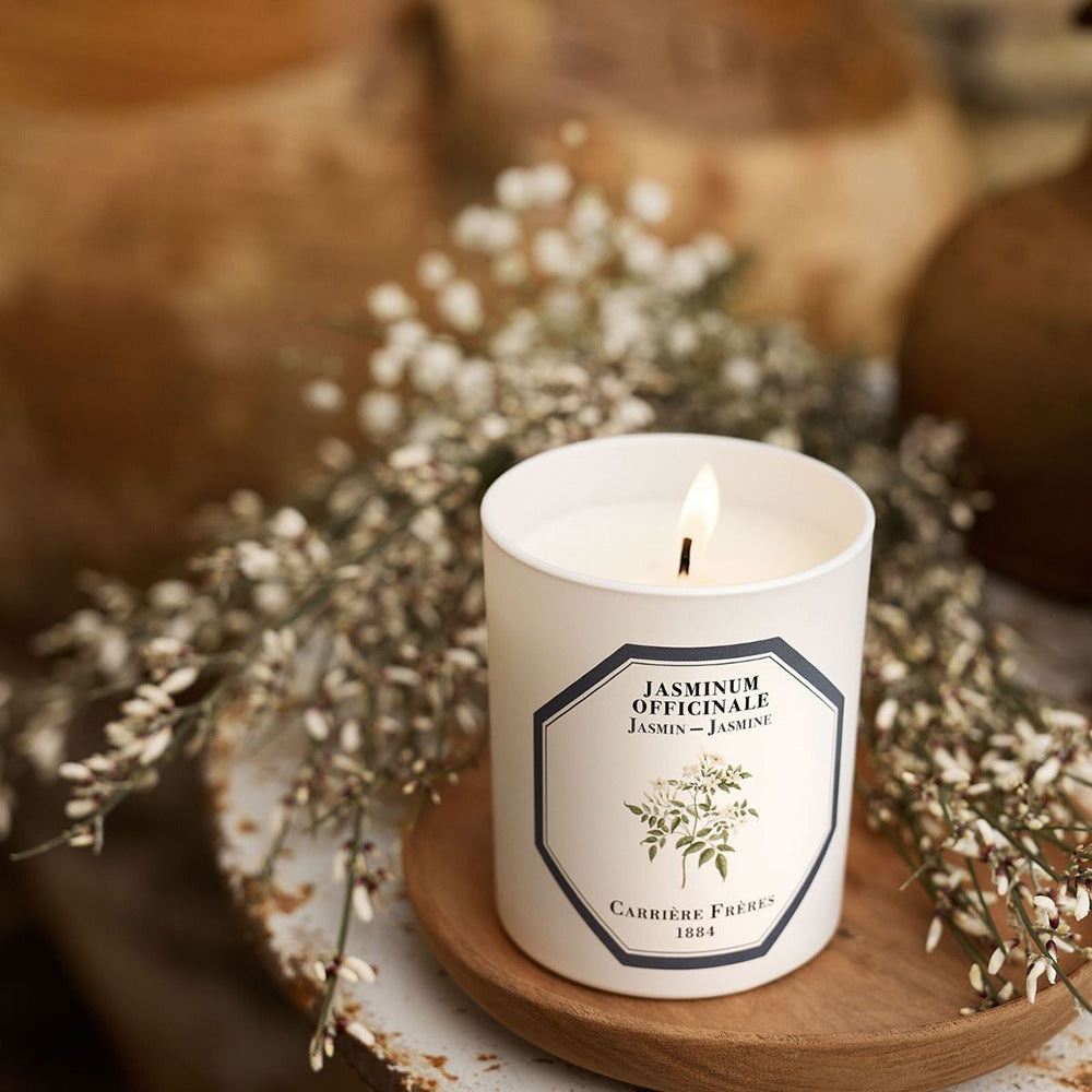 Jasmine Officinale - Jasmine Candle