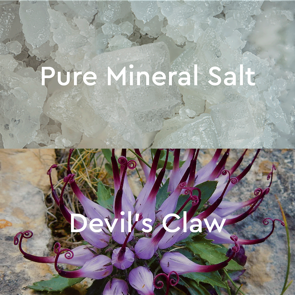 Back & Neck Devil's Claw Mineral Bath Salt