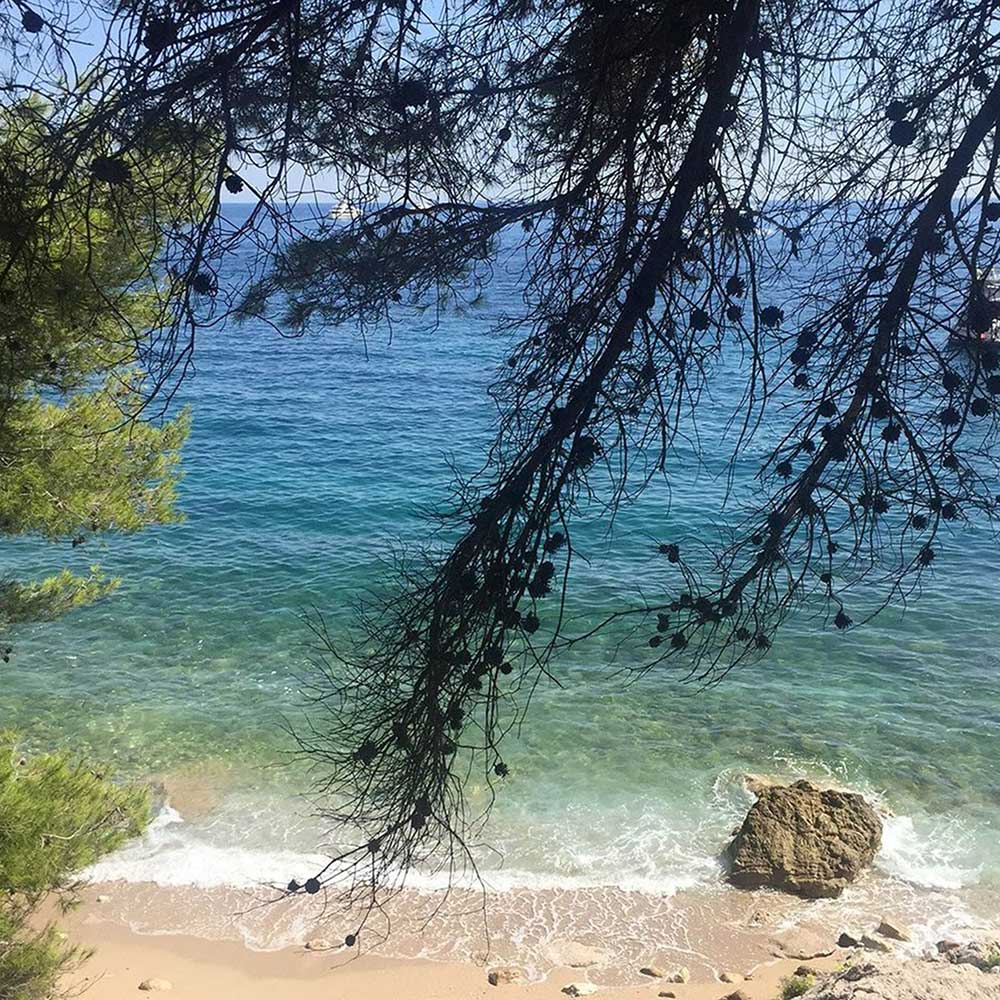 ゴールドオブシディアンパームNo.580 regularcap-edp_5_grande.jpg?v=