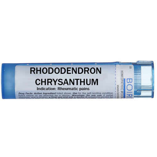 Rhododendron chrysanthum - Multidose Tube