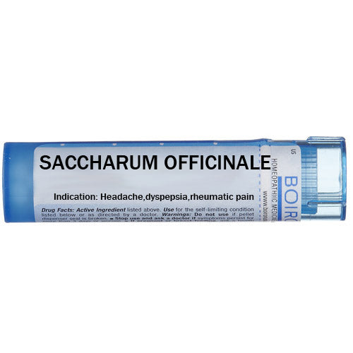 Saccharum officinale - Multidose Tube