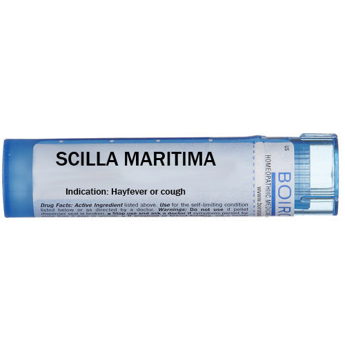 Scilla maritima (Squilla maritima) - Multidose Tube