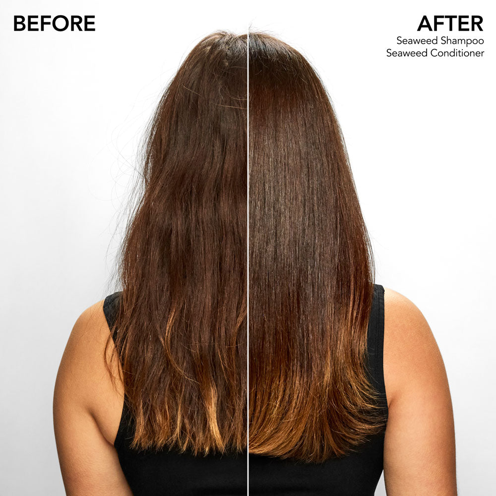 Seaweed Conditioner – C.O. Bigelow