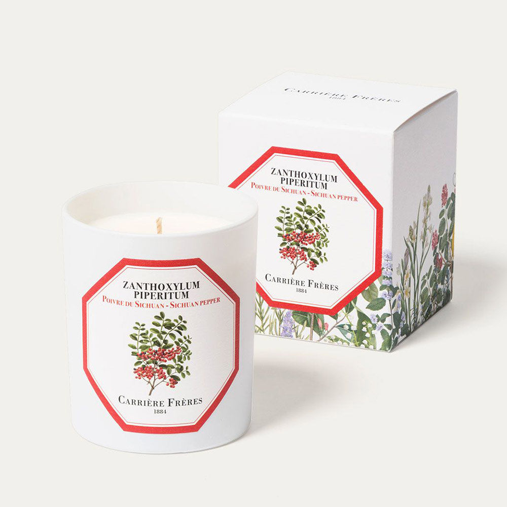 Zanthoxylum Piperitum - Sichuan Pepper Candle