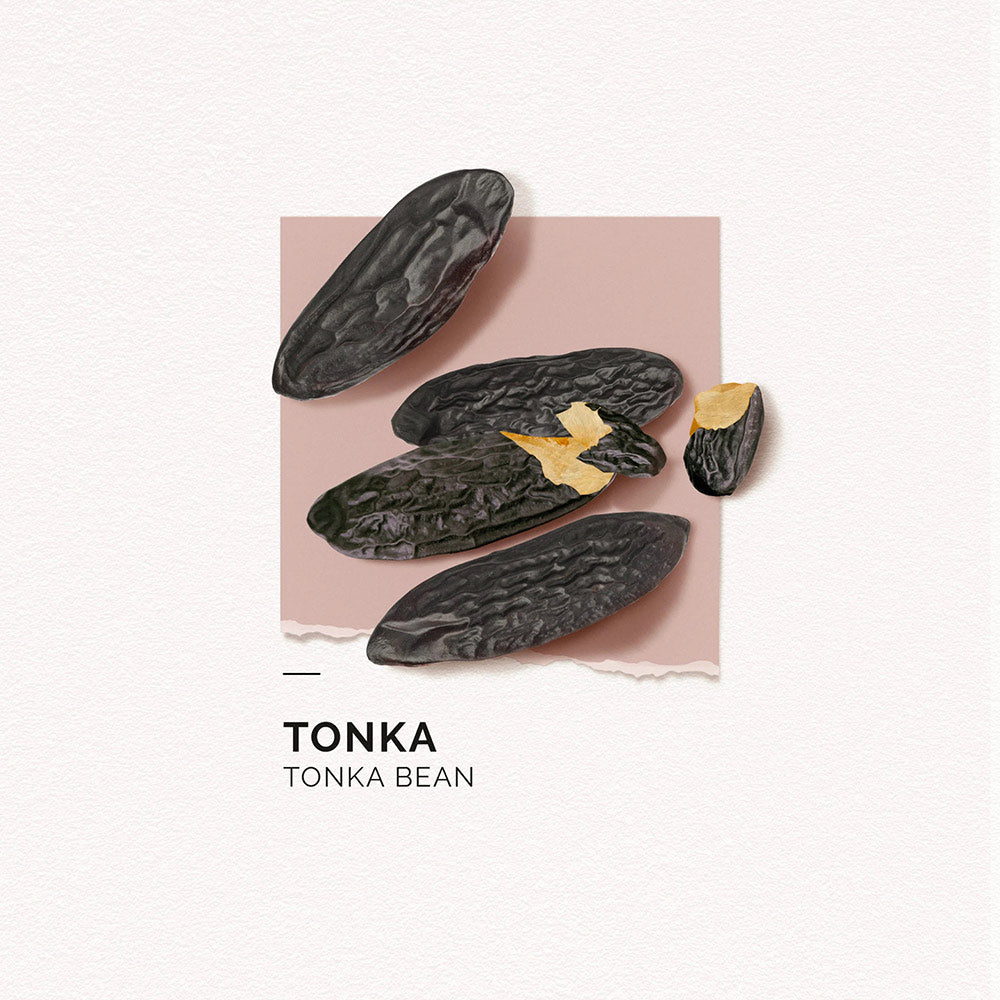 Hand Cream - Tonka