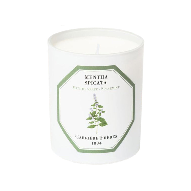 Mentha Spicata - Spearmint Candle