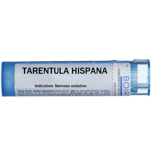 Tarentula hispana - Multidose Tube