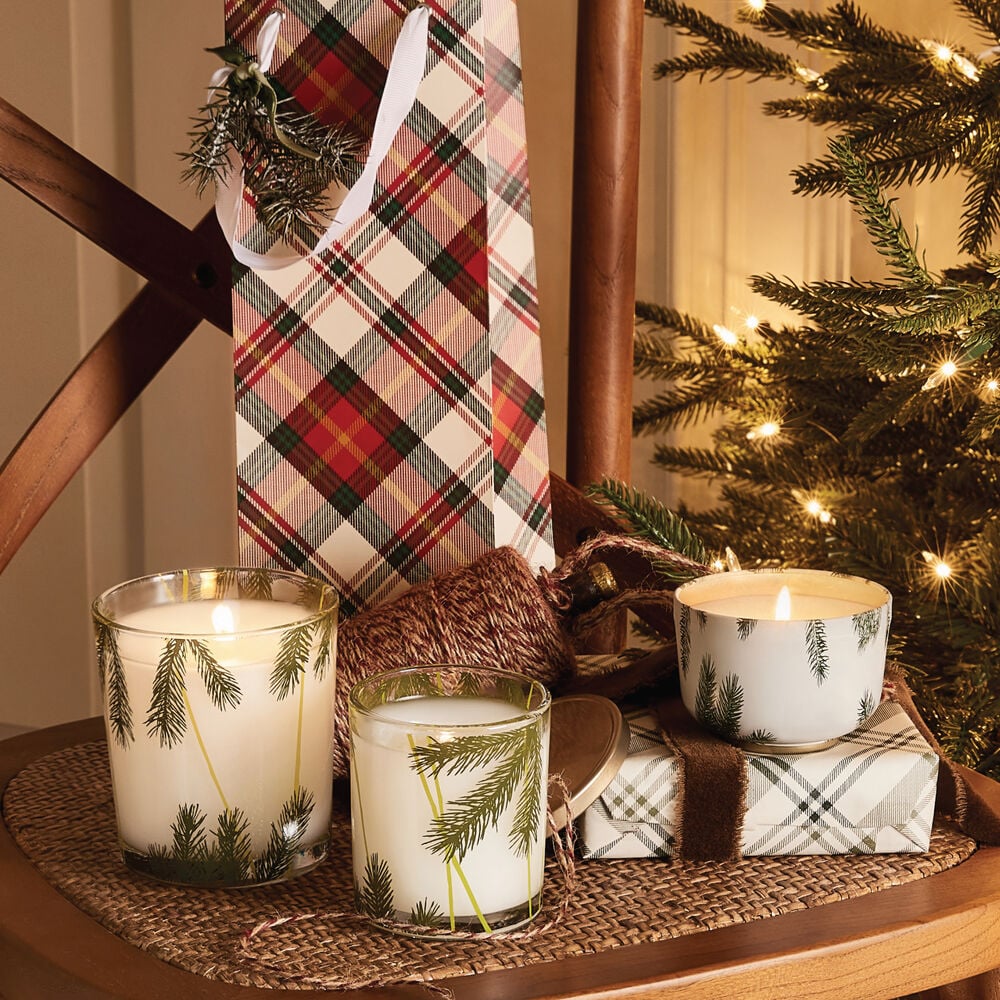 Frasier Fir 13 oz Candle