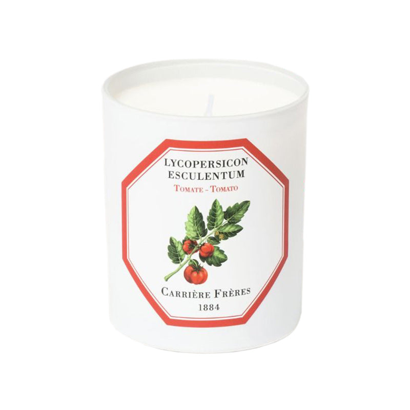 Lycopersicon Esulentum - Tomato Candle