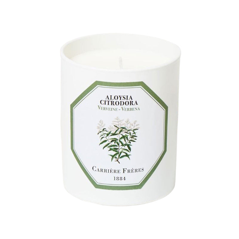 Aloysia Citrodora - Verbena Candle