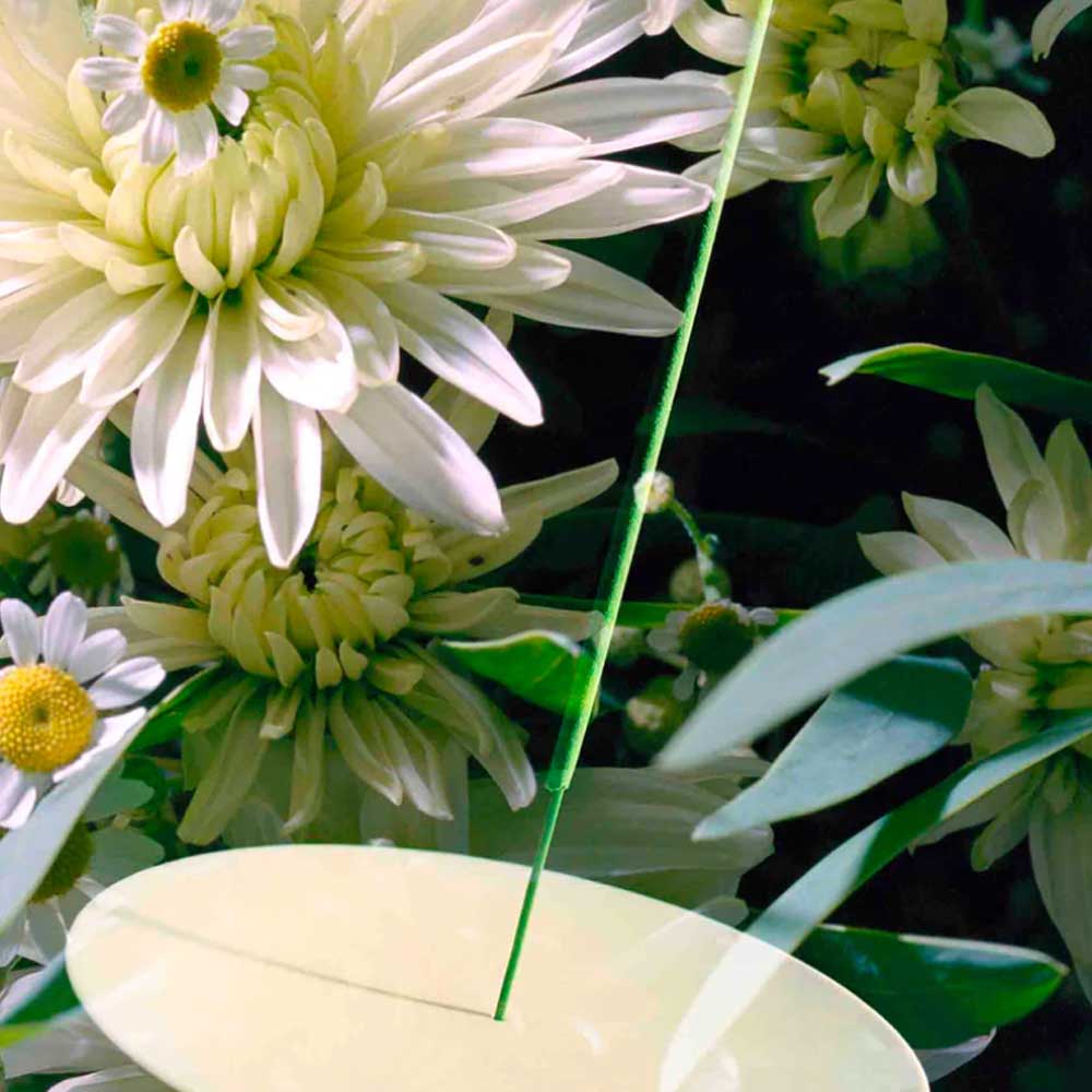 incense in plant pots Verdant Incense – Vyrao
