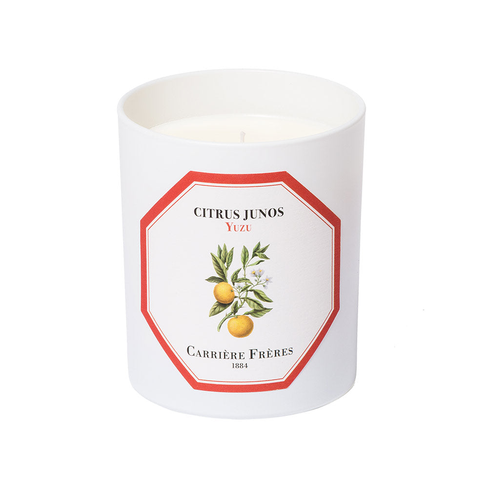 Citrus Junos - Yuzu Candle